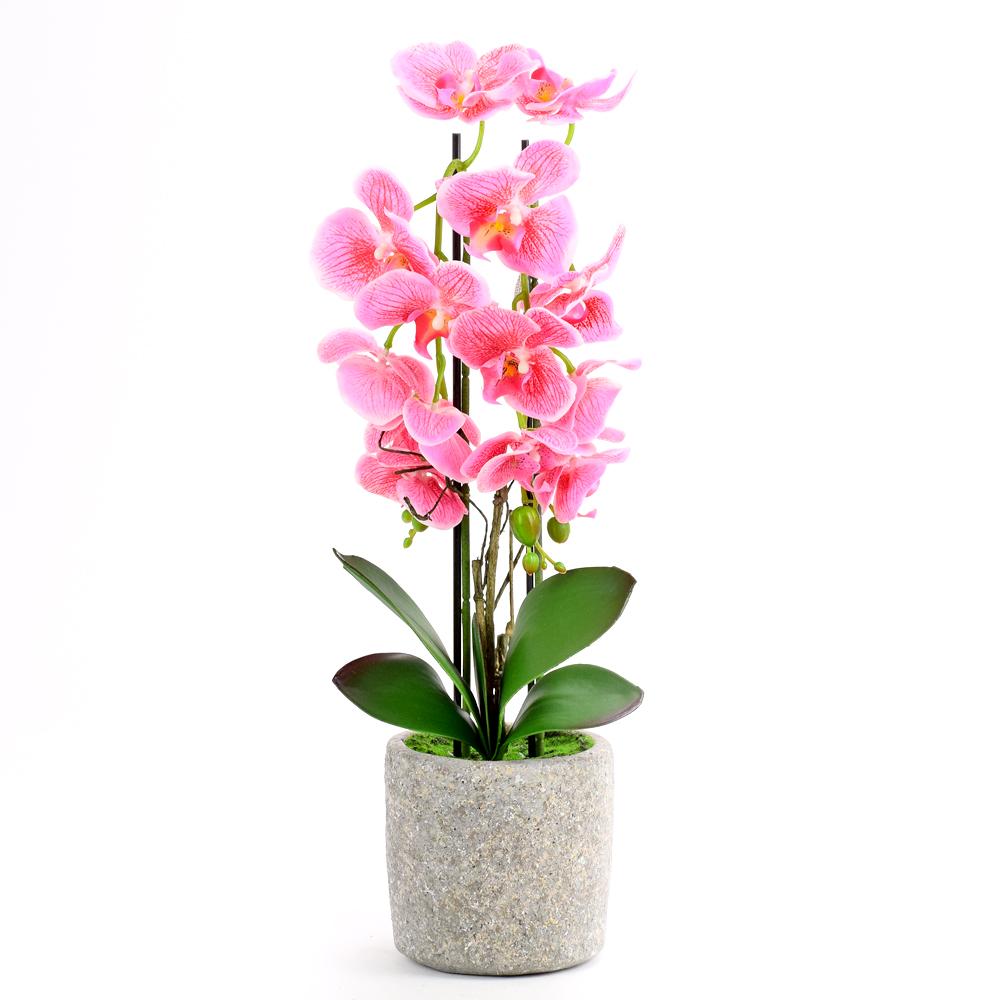 RŮŽOVÁ ORCHIDEj V KVETINÁČI 3VÝH 65CM